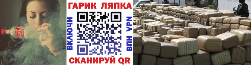 ГАШ Cannabis  Сураж 