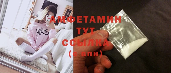 ECSTASY Алзамай