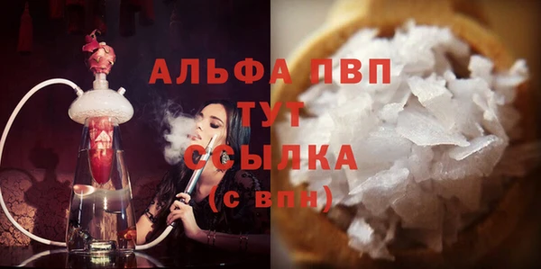 ECSTASY Алзамай