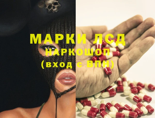 ECSTASY Алзамай