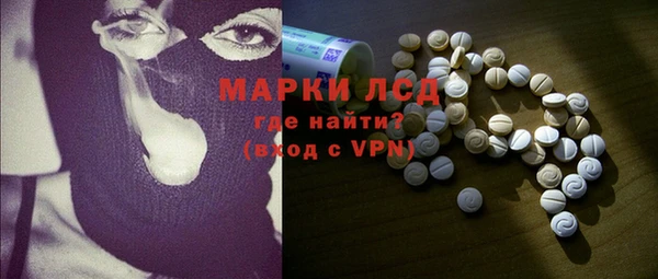 ECSTASY Алзамай